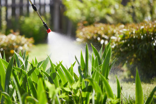 Tamper-Resistant Bait Stations for Rodents in Lenwood