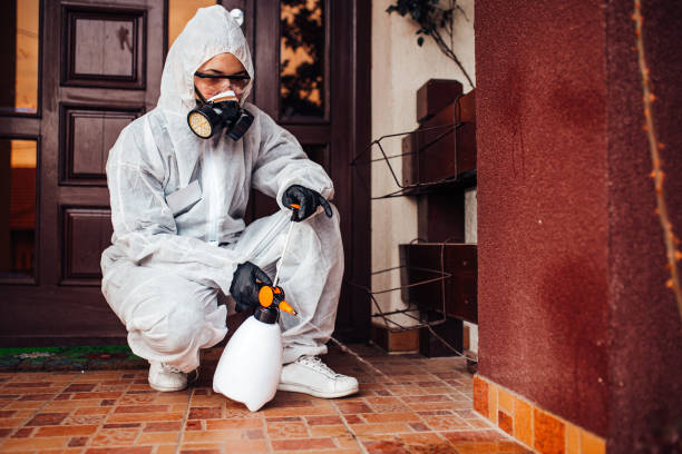 Attic and Crawl Space Rodent Treatment in Lenwood