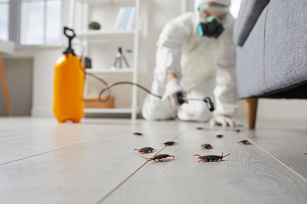 Commercial Rodent Management in Lenwood